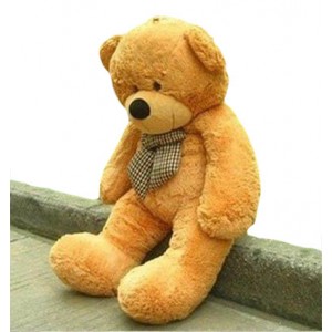 3-feet-huggable-bear