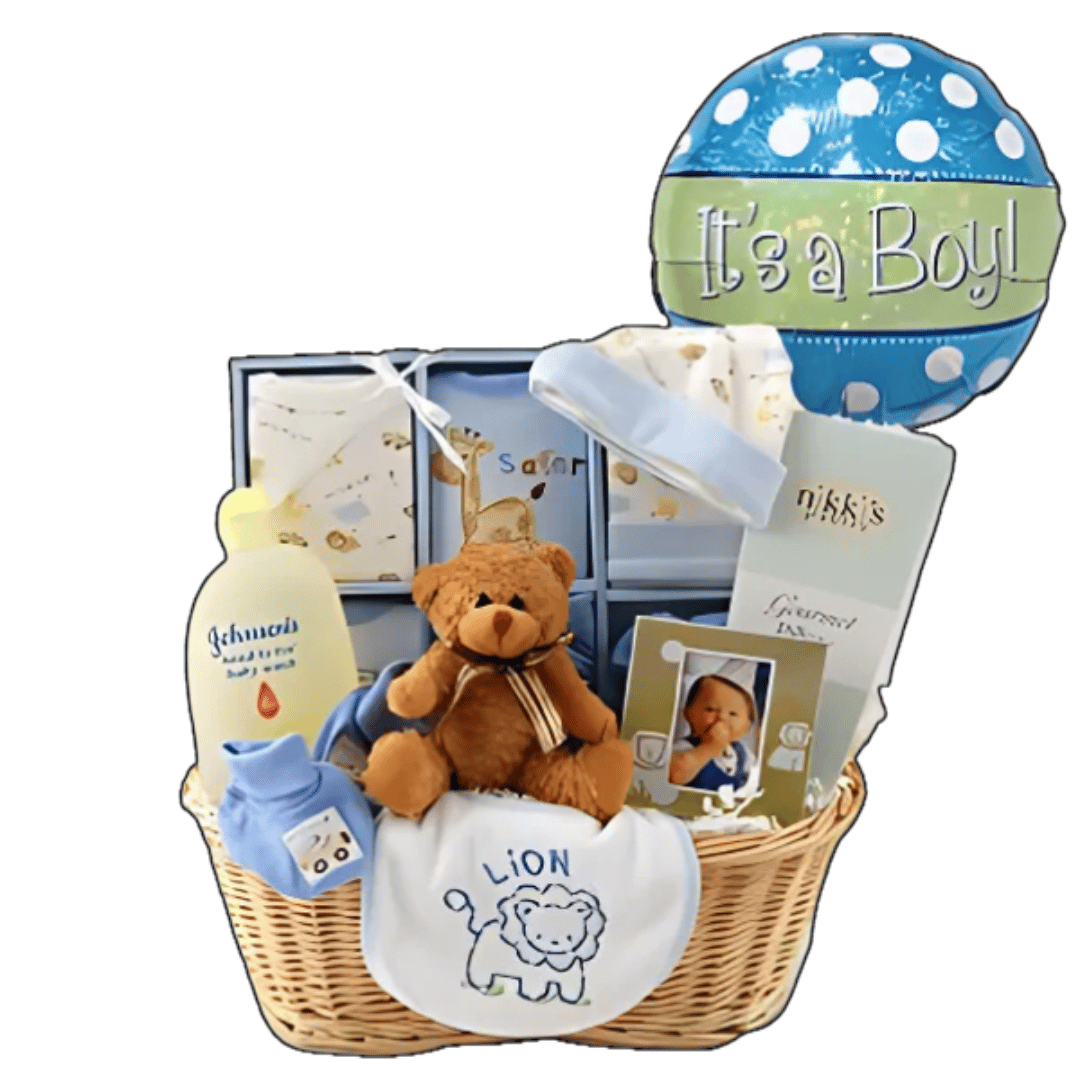 Baby Boy Gift Basket